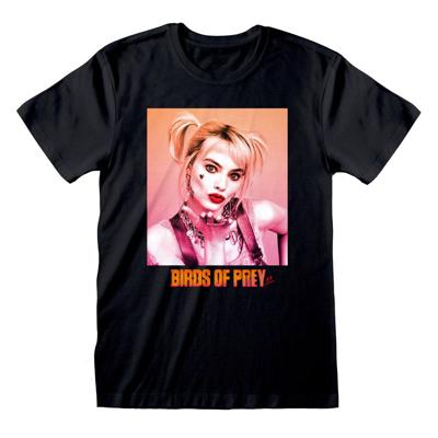 Birds Of Prey T-Shirt Gradient Size M