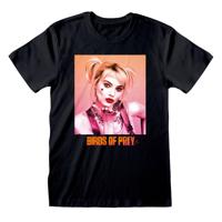 Birds Of Prey T-Shirt Gradient Size M - thumbnail