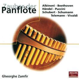 Zauber Der Panflote - CD (0028946248126) Zauber Der Panflote - CD (0028946248126)