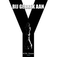 Bij gebrek aan Y (Paperback) - thumbnail