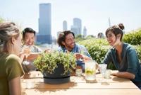 Elho Greenville schaal 33 cm living black - thumbnail