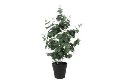 Decostar Eucalyptus kunstplant 65 cm groen