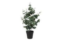 Decostar Eucalyptus kunstplant 65 cm groen - thumbnail