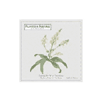 Verbena Geur Enveloppe - thumbnail