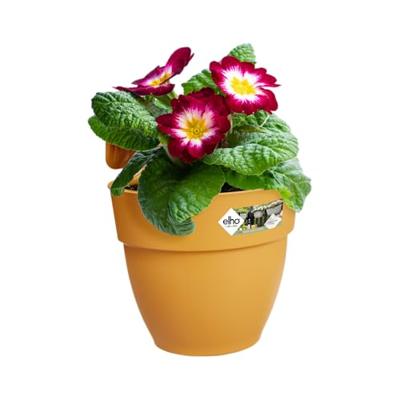 Elho Vibia Campana Small Hangpot geel - thumbnail