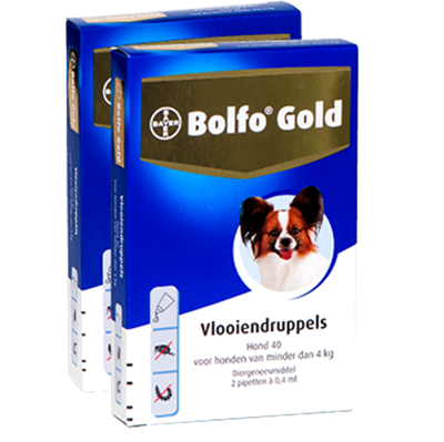 Bolfo Gold Druppels Hond 40 2 x 0,4ml
