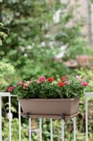 Barcelona Balconniere Schotel 50 taupe - thumbnail