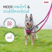 Hondenriem Company of Animals Turkoois L - thumbnail