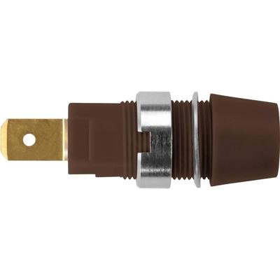 Schützinger Veiligheids-opbouwbus Bruin 1 stuk(s)