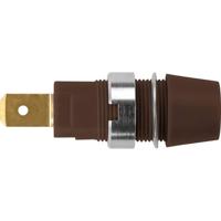 Schützinger Veiligheids-opbouwbus Bruin 1 stuk(s) - thumbnail