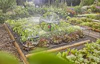 GARDENA Micro-Drip-Bewatering moestuin/bloembed Set (60 m²) druppelaar - thumbnail