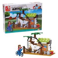 Sluban town paardenwasplaats - thumbnail