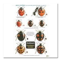 ZOEKKAART LIEVEHEERSBEESTJES - thumbnail