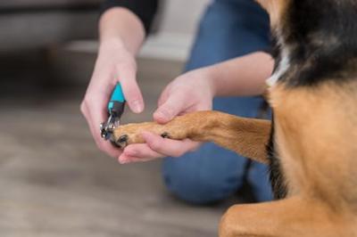 Trixie nagelschaar - thumbnail