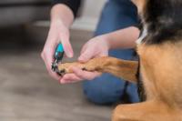 TRIXIE 2367 schaar voor dierenverzorging - thumbnail