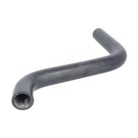 Radiateurslang 3404179 - thumbnail