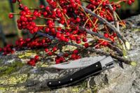 STYLE DE VIE - Laguiole - Zakmes Ebbenhout - thumbnail