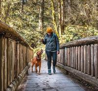 Handsfree riem - KURGO - QUANTUM - 6 standen - 120 t/m 180 cm - Zwart - thumbnail