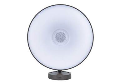 Lutec Darli LED-Wandlamp