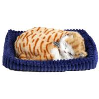 Perfect Pet Zzz zzz soft oranje kat - thumbnail