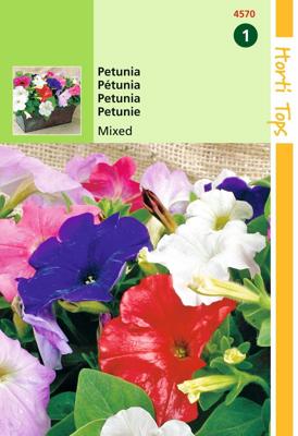 Zaden Petunia laag gemengd Hortitops - Hortitops
