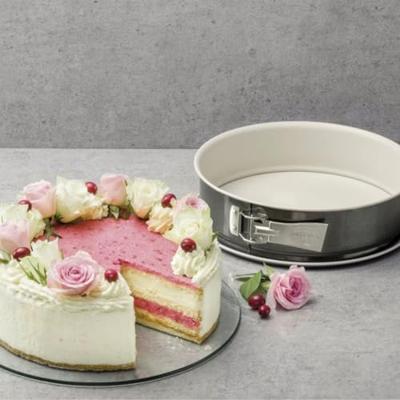 Springvorm Pan Dr. Oetker