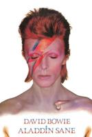 Poster David Bowie - Aladdin Sane 61x91,5cm - thumbnail