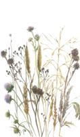 Noordwand Fotobehang aquarel droogbloemen boeket - 35799 - thumbnail