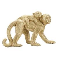 Mauro Ferretti Animali Aap in hars - thumbnail