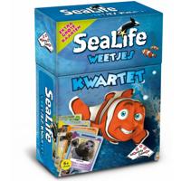 Identity Games weetjes kwartet - thumbnail