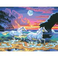 Schilderen op Nummer Paarden op het Strand - thumbnail