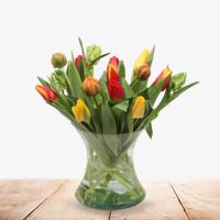 15 Tulpen in vaas - thumbnail