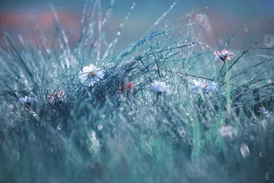 Alexsar Art Tuinschilderij lente 130x70cm