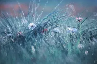 Alexsar Art Tuinschilderij lente 130x70cm - thumbnail