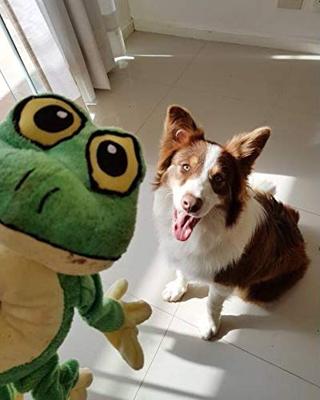 PAWISE Pluche speelgoed voor honden, grote ogen, 29 cm