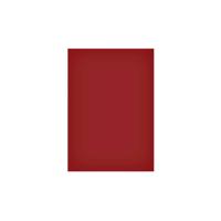 Magneetvel maul 200x300mm rood | 50 stuks - thumbnail