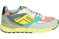 Floris van Bommel DE TREENER 06.03 - alle - thumbnail