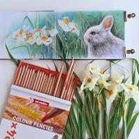 Talens Art Creation Kleurpotloden Set 24 - thumbnail