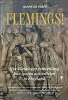 Flemings - Harry De Paepe - ebook - thumbnail