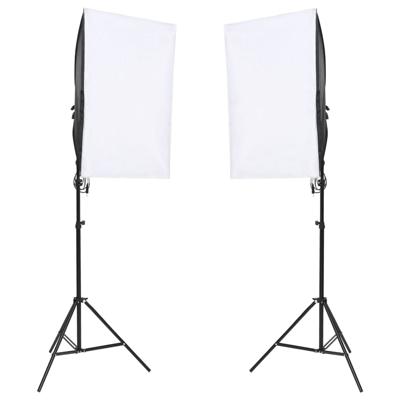 VidaXL Studiolampen 2 st professioneel 40x60 cm