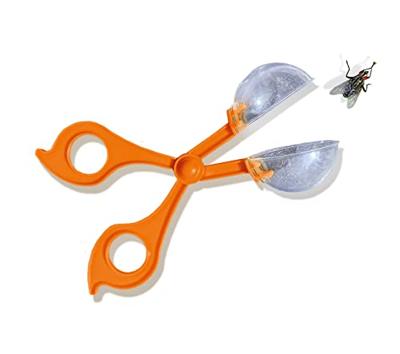 SES Creative Ses explore - insecten explorer