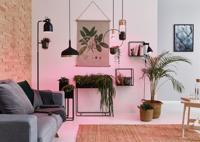 Paulmann LED-plantenlamp groei 230 V E27 6.5 W Barnsteen 1 stuk(s) - thumbnail