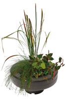 Floating Plant Basket diameter 30 Cm vijver SuperFish - Superfish - thumbnail