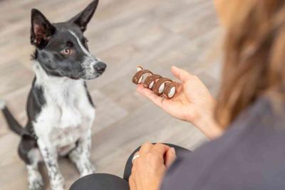 TRIXIE DENTAFUN RUND VOOR DE HOND KAUWKRUL GLUTENVRIJ 12 CM 50 ST TRIXIE DENTAFUN RUND VOOR DE HOND KAUWKRUL GLUTENVRIJ 12 CM 50 ST