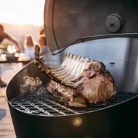 Höfats | Cone Grillrooster 46 cm - thumbnail