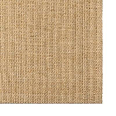 VidaXL Vloerkleed 100x100 cm natuurlijk sisal