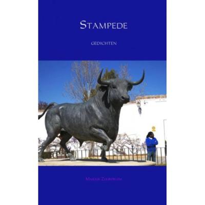 Stampede - Marius Zuurpruim - Paperback (9789402189223)
