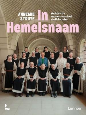 In hemelsnaam - Annemie Struyf - ebook