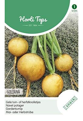 Zaden Rapen Goldana (Goudbal Kortlof) Hortitops - Hortitops