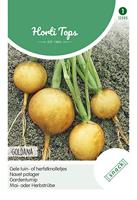 Zaden Rapen Goldana (Goudbal Kortlof) Hortitops - Hortitops - thumbnail
